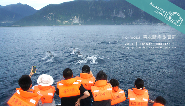 formosa 多羅滿賞鯨