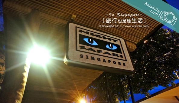 夜間動物園